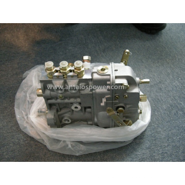 Система впрыска топлива Injection Pump-Deutz F3l912